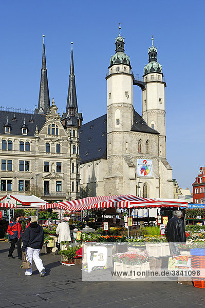Marktplatz mit Marktkirche  Halle  Sachsen-Anhalt  Deutschland  Europa