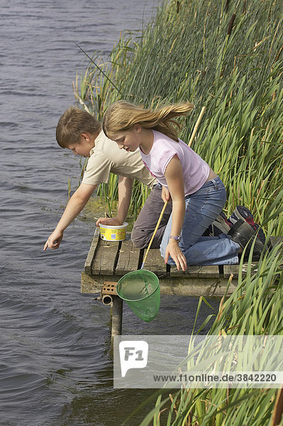 Junge und Mädchen mit Netz am Rand eines Sees  England  Großbritannien  Europa