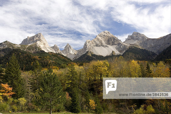 Blick auf Wald und Berggipfel  BuÎch-Tal  Vercors-Gebirge  Frankreich  Europa