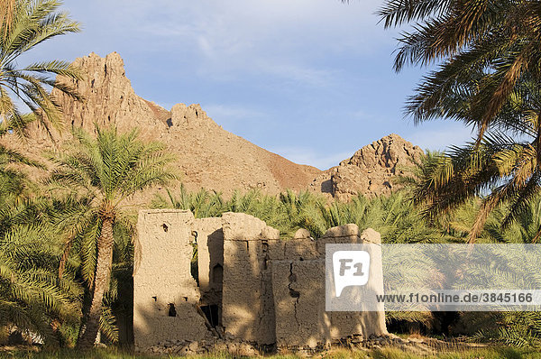Verlassenes Haus in Nizwa  Oman  Naher Osten