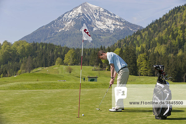 Golfer putting  alpine golf course  Achenkirch  Tyrol  Austria  Europe