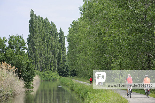 Radfahrer auf dem Thermenradweg entlang des Wiener Neustädter Kanals  Bad Vöslau  Niederösterreich  Österreich  Europa