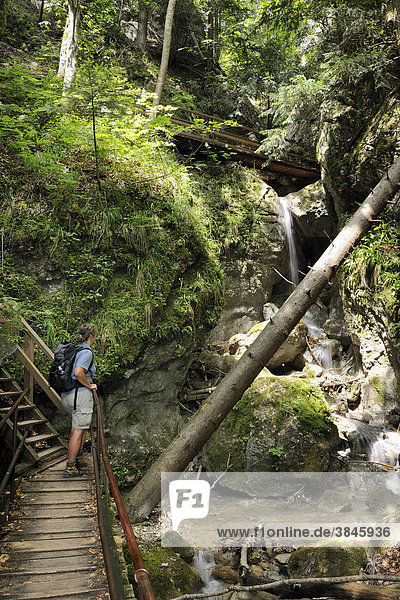 Wanderin auf der Steiganlage durch die Steinwandklamm  Triestingtal  Niederösterreich  Österreich  Europa
