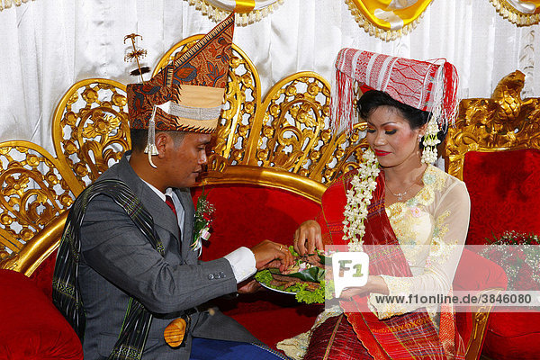 Bride and groom  traditional mutual feeding  wedding ceremony  Siantar  Batak region  Sumatra  Indonesia  Asia
