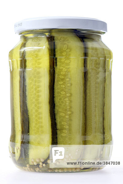 Senfgurken  Konserve in Glasverpackung