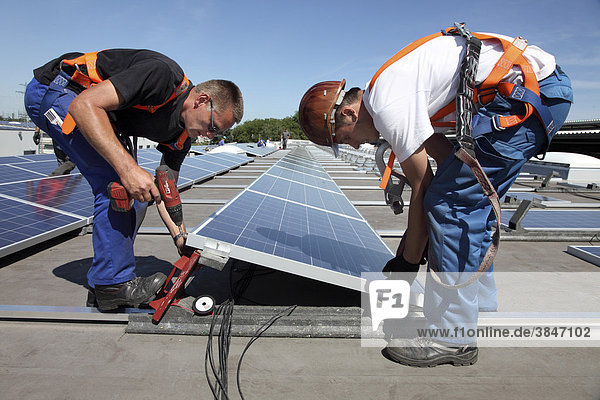 Construction of a large photovoltaic system on several rooftops  16000 square metres  Gelsenkirchen  North Rhine-Westphalia  Germany  Europe