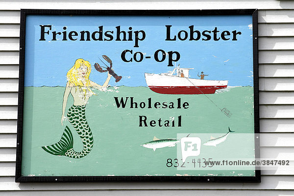 Lobster zu verkaufen  Schild  Fischerdorf Friendship  Küste von Maine  New England  USA