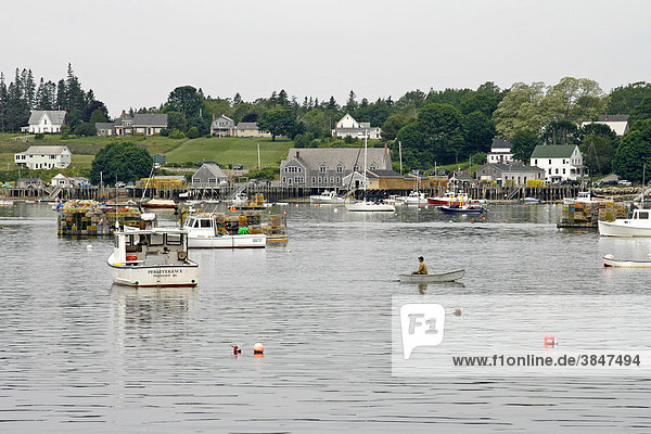 Hummer-Boote im Hafen  Fischerdorf Friendship  Küste von Maine  New England  USA