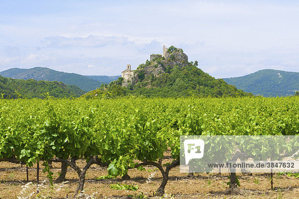 Weinfeld bei Entrechaux  Burgruine und Kirche  Provence  Südfrankreich  Frankreich  Europa
