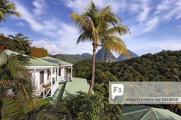 Bungalows  palms  view on the Pitons mountains and the rain forest  Luxury Hotel Anse Chastanet Resort  LCA  St. Lucia  Saint Lucia  Island Windward Islands  Lesser Antilles  Caribbean  Caribbean Sea