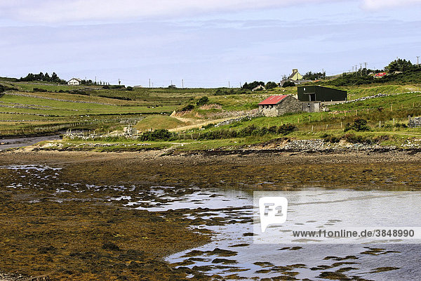 Cottages und Landschaft  Claddaghduff  Connemara  Irland  Europa
