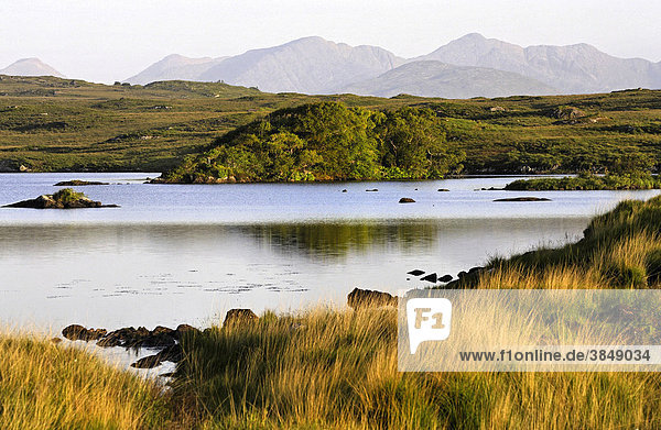 Seenlandschaft mit Maumturk-Bergen bei Sonnenaufgang  Connemara  Irland  Europa
