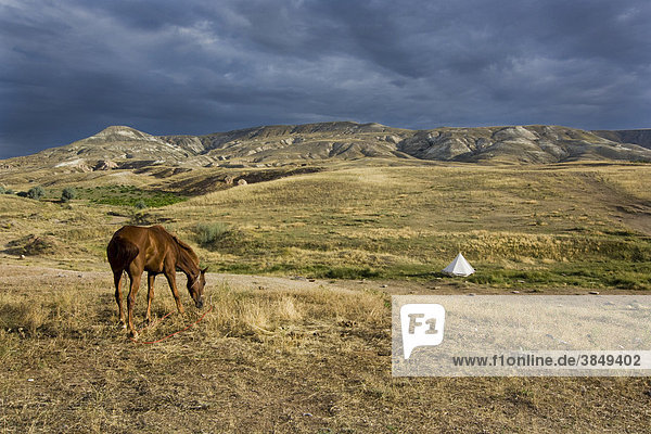 Pferd bei Gewitterstimmung in Tuffsteinlandschaft  Kappadokien  Zentralanatolien  Türkei  Asien