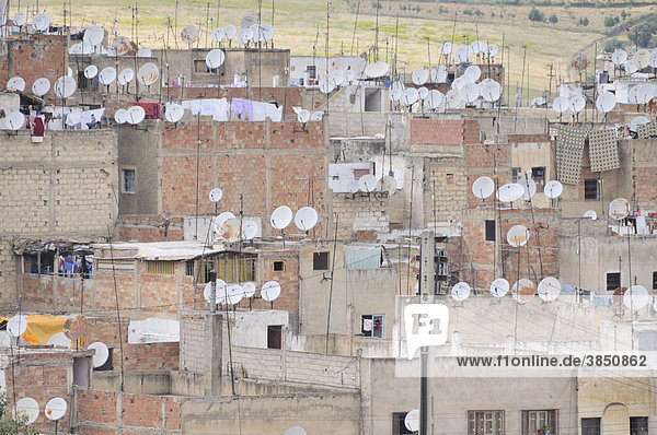 Häuser der Altstadt mit Satellitenschüsseln  Medina von Fes  Marokko  Afrika