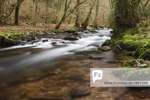 Fluss Horner  Horner Wasser  Exmoor  Somerset  England  Großbritannien  Europa