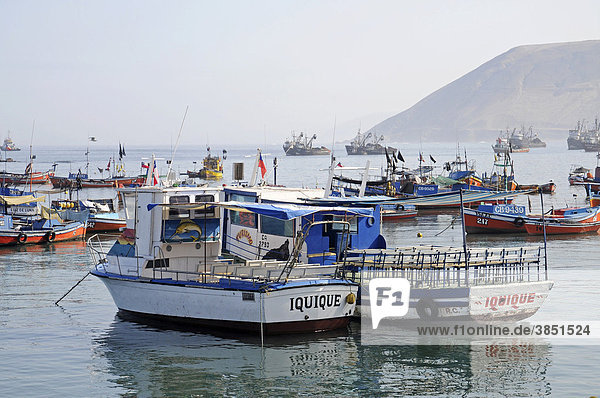 Ausflugsboote  Fischerboote  Schiffe  Hafen  Schriftzug  Iquique  Norte Grande  Nordchile  Chile  Südamerika