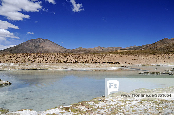 Steppe  open plain  Polloquere springs  thermal baths  Salar de Surire  Salt Lake  Reserva Nacional de las Vicunas  Lauca National Park  Altiplano  Norte Grande  Northern Chile  Chile  South America