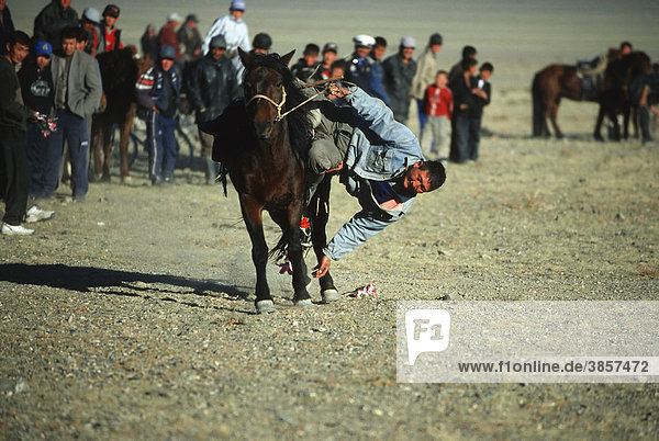 Tenge-il game  horseman catching flowers on the ground while galloping  Golden Eagle Festival  Bayan Oelgii  Altai Mountains  Mongolia  Asia