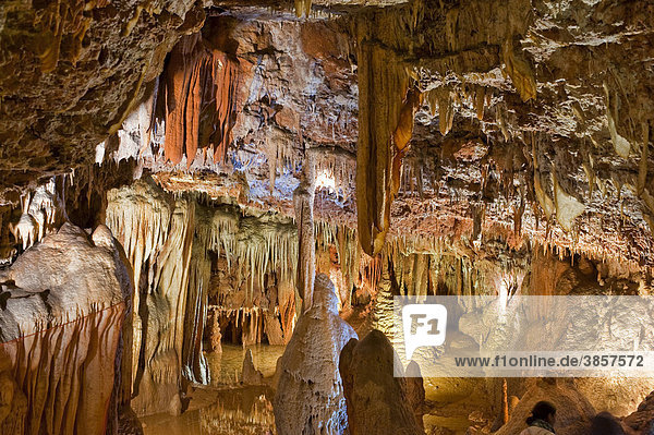 Jama Baredine Tropfsteinhöhle Nova Vas Porec Istrien Kroatien Europa