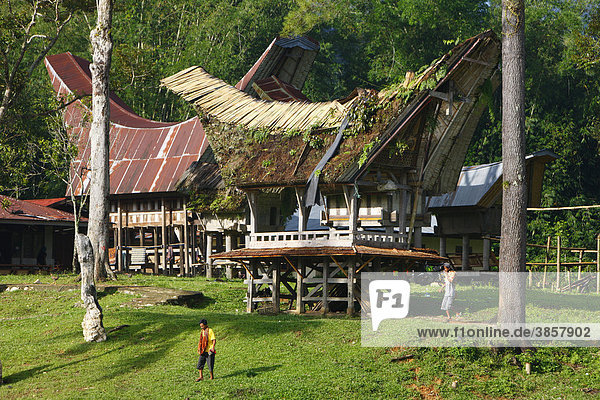 Typisches Toraja Haus  Kete Kesu  Toraja Kultur  Sulawesi  Indonesien  Asien
