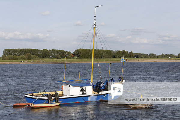 Kleines Fischerboot auf dem Rhein  bei Kalkar-Grieth  Niederrhein  Nordrhein-Westfalen  Deutschland  Europa