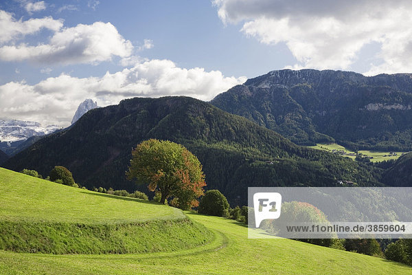 Landschaft im Herbst  Val Gardena  Dolomiten  Trentino-Südtirol  Italien  Europa