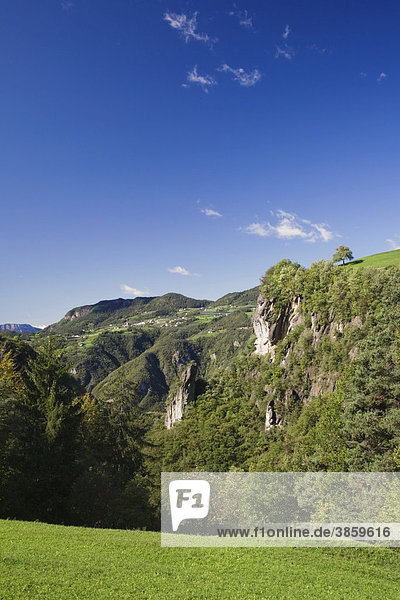 Bäume auf einem Felsvorsprung  Dolomiten  Trentino-Südtirol  Italien  Europa