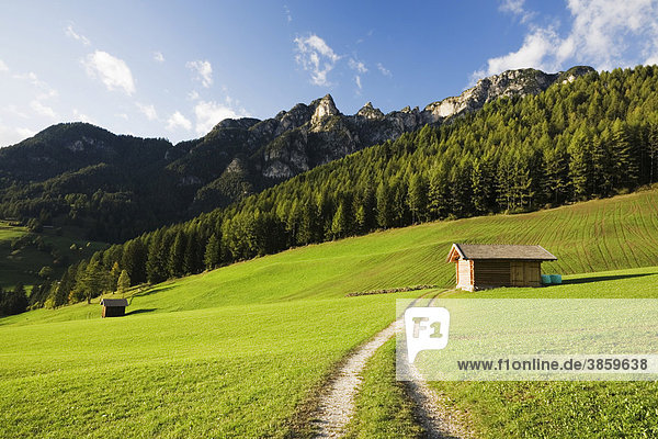 Hütte auf einer Wiese  Tierser Tal  Dolomiten  Trentino-Südtirol  Italien  Europa