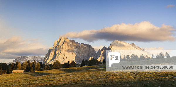 Auf der Seiser Alm mit Blick auf Langkofel und Plattkofel  Dolomiten  Trentino-Südtirol  Italien  Europa