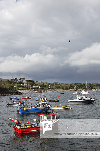 Fischkutter  Hafen in Skull  Schull  Mizen Head Peninsula  West Cork  Irland  Britische Inseln  Europa