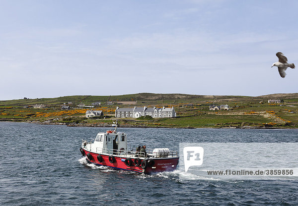 Boot vor Valentia Islands  Skelling Ring  County Kerry  Irland  Britische Inseln  Europa