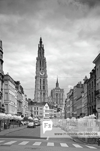 Antwerpener Innenstadt mit Blick auf die Kathedrale  Antwerpen  Flandern  Belgien  Europa