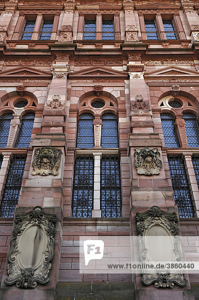 Vom Altan aus gesehene Fassade des Friedrichsbaus der Heidelberger Schlossruine  zerstört 1689  Schlosshof  Heidelberg  Baden-Württemberg  Deutschland  Europa