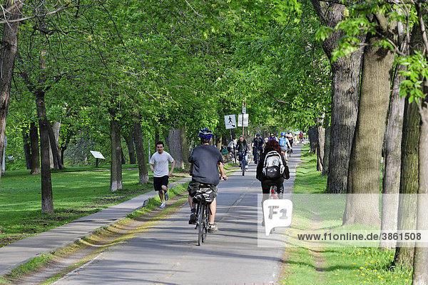 Beim Fahrradfahren durch den Parc La Fontaine  Montreal  Quebec  Kanada
