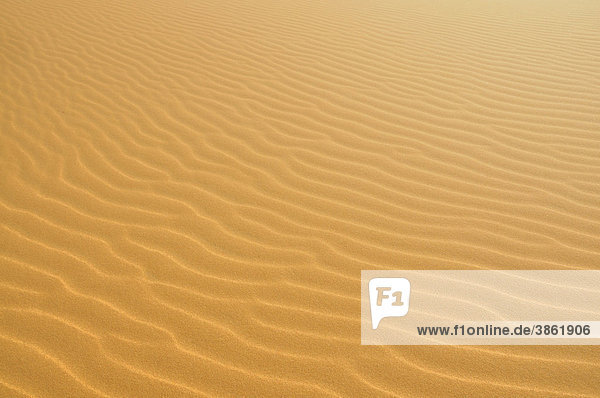 Sanddünen  Erg Chebbi  Marokko  Afrika