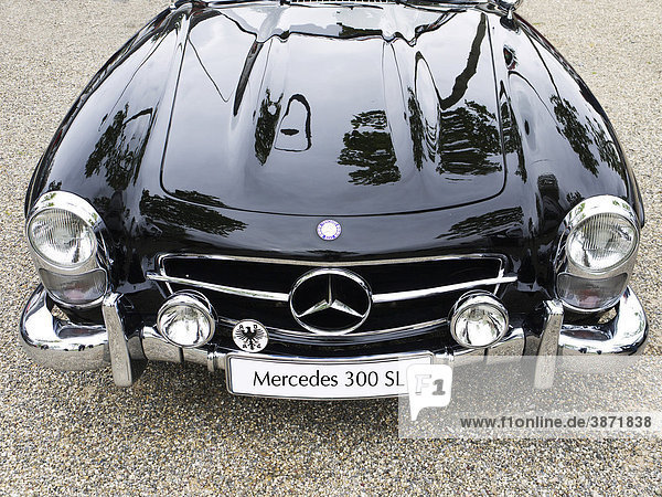 300  above  aged  angle  antique  automobile  automobiles  Benz  black  bonnet  bonnets  brand  brands  car  cars  classic  conveyance  day  daylight  daytime  detail  details  display  during  elevated  exterior  exteriors  from  German  gloss  glossily  glossiness  glossy  high  high-angle  hood  hoods  ideogram  ideograms  lettering  license  logo  logos  logotype  logotypes  make  manufactuers  manufacturer  means  Mercedes  Mercedes-Benz  mirrored  motor  motorcar  motors  nobody  number  of  old  one  outdoor  passenger  passengers  perspective  perspectives  photo  photos  plate  plates  producer  producers  reflect  reflected  reflecting  reflection  reflections  Roadster  Roadsters  separate  separately  shine  shinily  shininess  shiny  shot  shots  sign  single  singly  SL  sports  tag  tags  the  top  topview  topviews  transport  transportation  tree  trees  vehicle  vehicles  view  views  Vintage  vintage  writing  writings