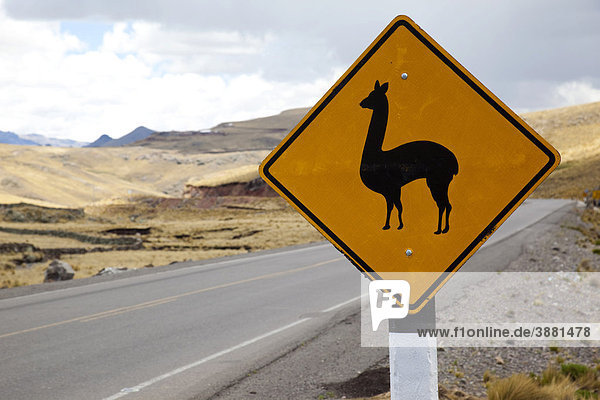 Straßenschild mit einem Lama  Peru  Südamerika