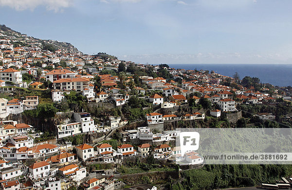 Funchal  Madeira  Portugal  Europa