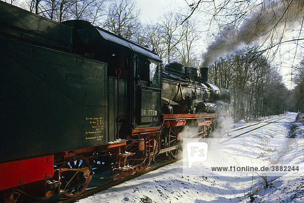 Dampfzug Ausflug von Münster mit P8 Klasse Lok Nr. 38 1772 im Wald in der Nähe von Warstein  Nordrhein-Westfalen  Deutschland  Europa