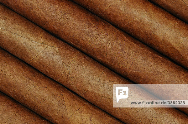 Cigars  close-up