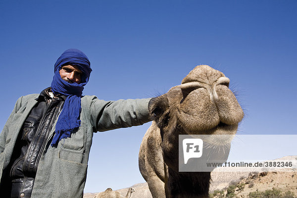 Kameltreiber und Kamel  Marokko
