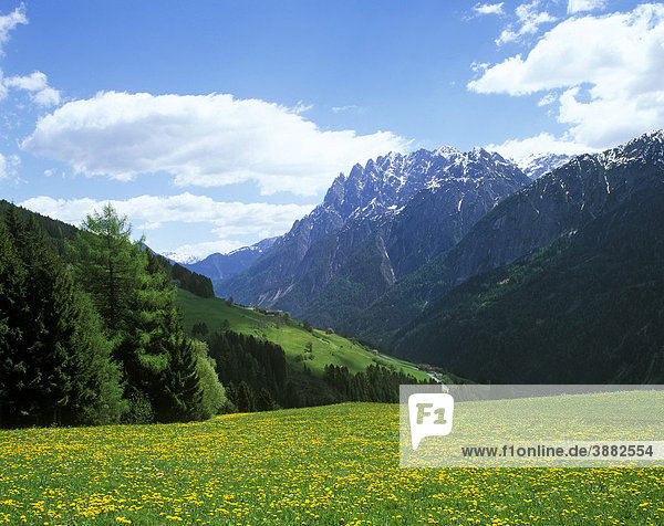 Lienzer Dolomiten  Osttirol  Österreich  Europa