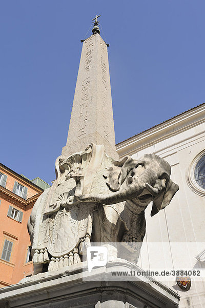Minerveo Obelisk und Elefant von Bernini vor der Kirche S. Maria sopra Minerva  Rom  Latium  Italien  Europa