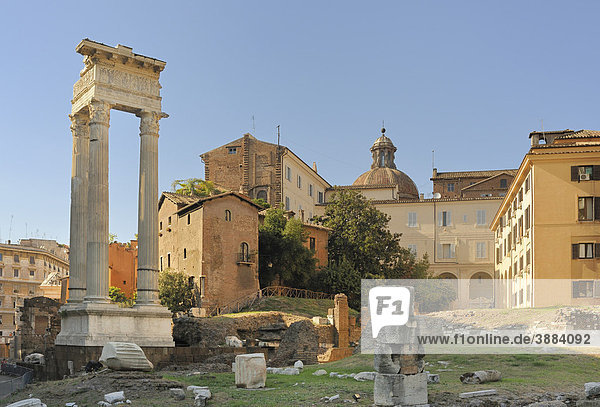 Säulen des Apollotempels  Rom  Latium  Italien  Europa