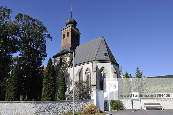 Pfarrkirche St. Peter am Moos bei Muthmannsdorf  Niederösterreich  Österreich  Europa