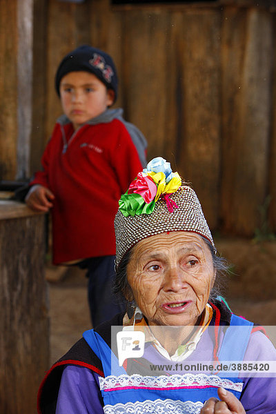Mapuche woman with a grandson  shaman  Bio-Bio region  Chile  South America