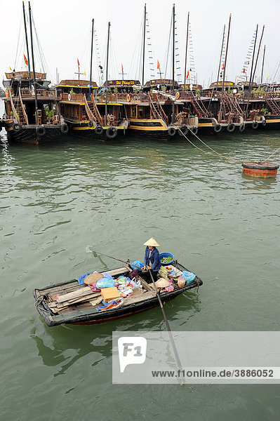 Tourist boats and rowing boats  Halong Bay  Vinh Ha Long  North Vietnam  Vietnam  Southeast Asia  Asia