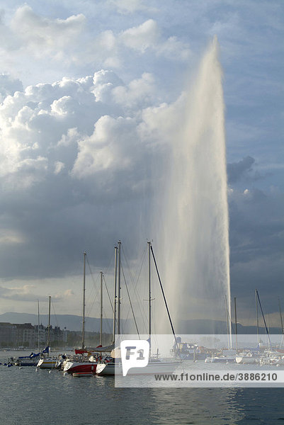 View of Lake Geneva with Jet d'eau fountain and sailboats  Geneva  Switzerland  Europe