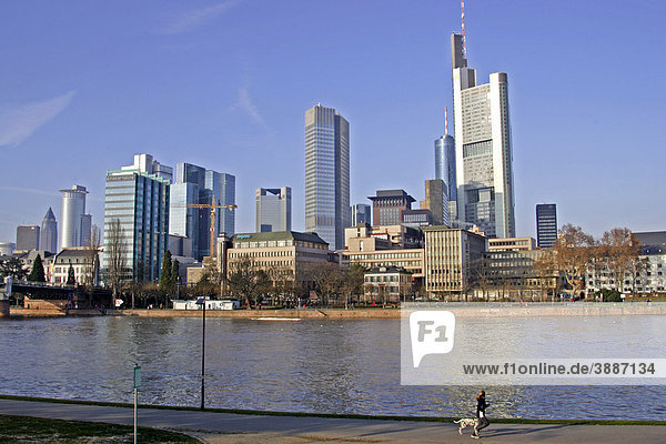 Skyline  Main  Frankfurt am Main  Hessen  Deutschland  Europa