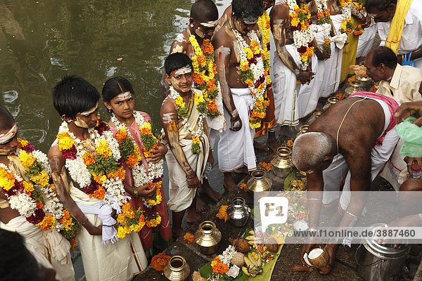 Thaipusam festival in Tenkasi  Tamil Nadu  Tamilnadu  South India  India  Asia